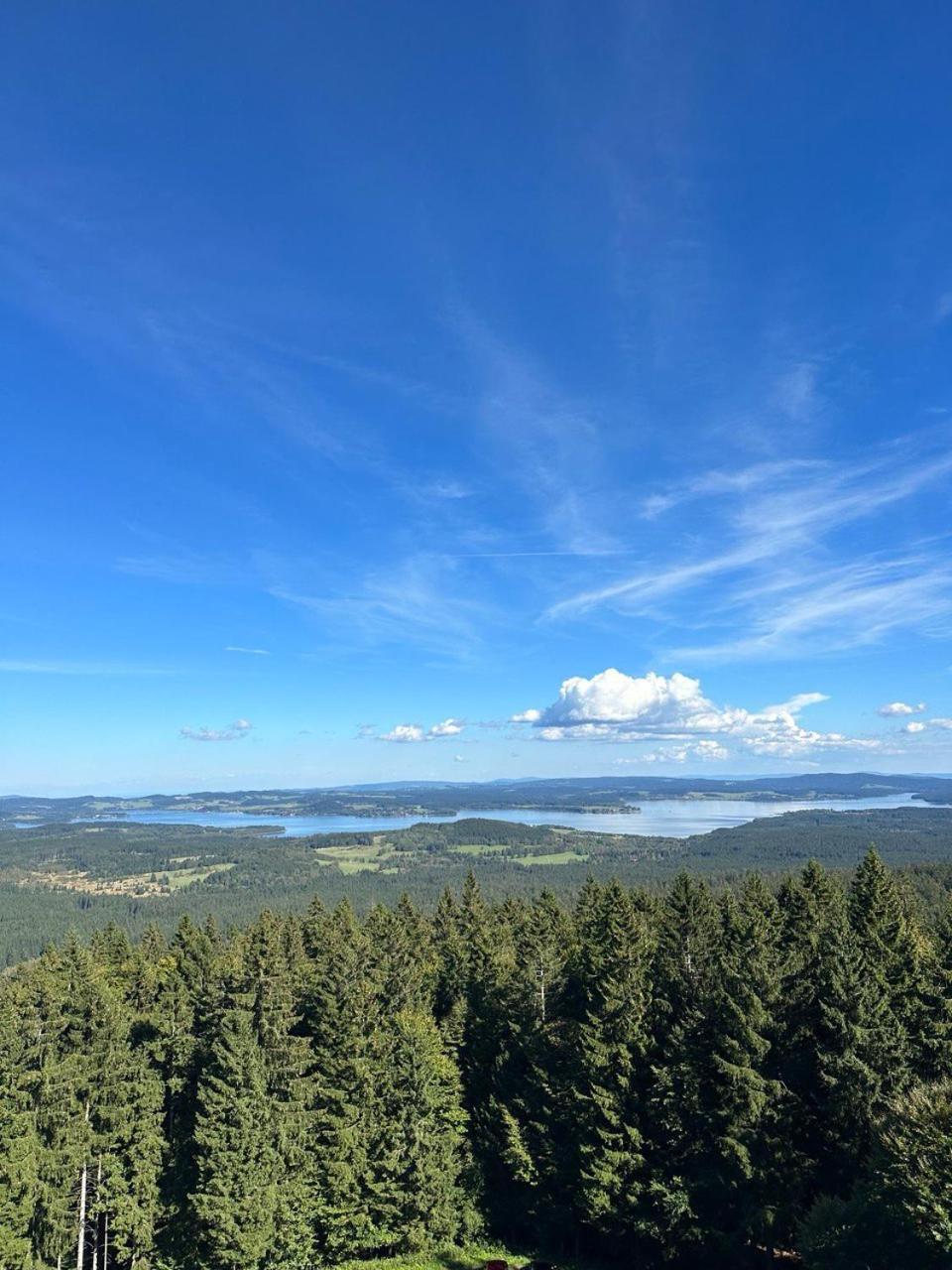 Lipno Lake House Пршедни Вытонь Экстерьер фото